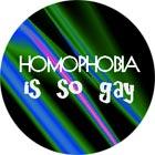 Homofobija