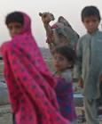 Kuchi blizu Ghaznija. Deca &amp; kamila